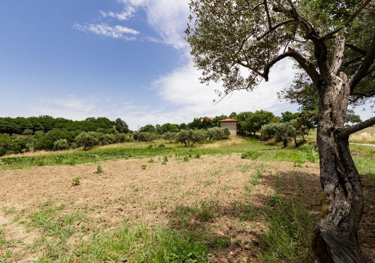 Agriturismo La Vammora Laviano Exterior photo