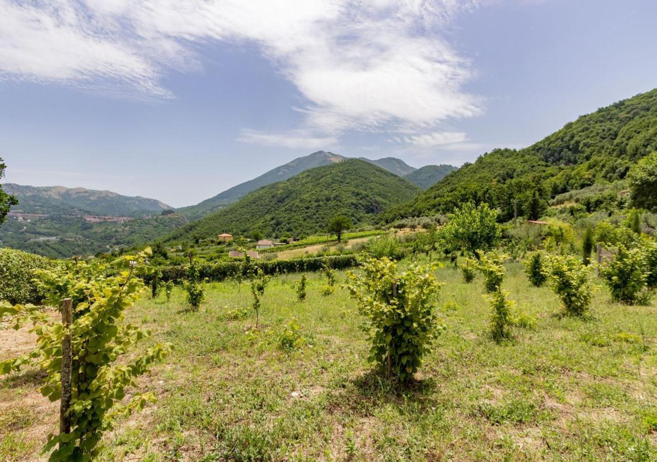 Agriturismo La Vammora Laviano Exterior photo